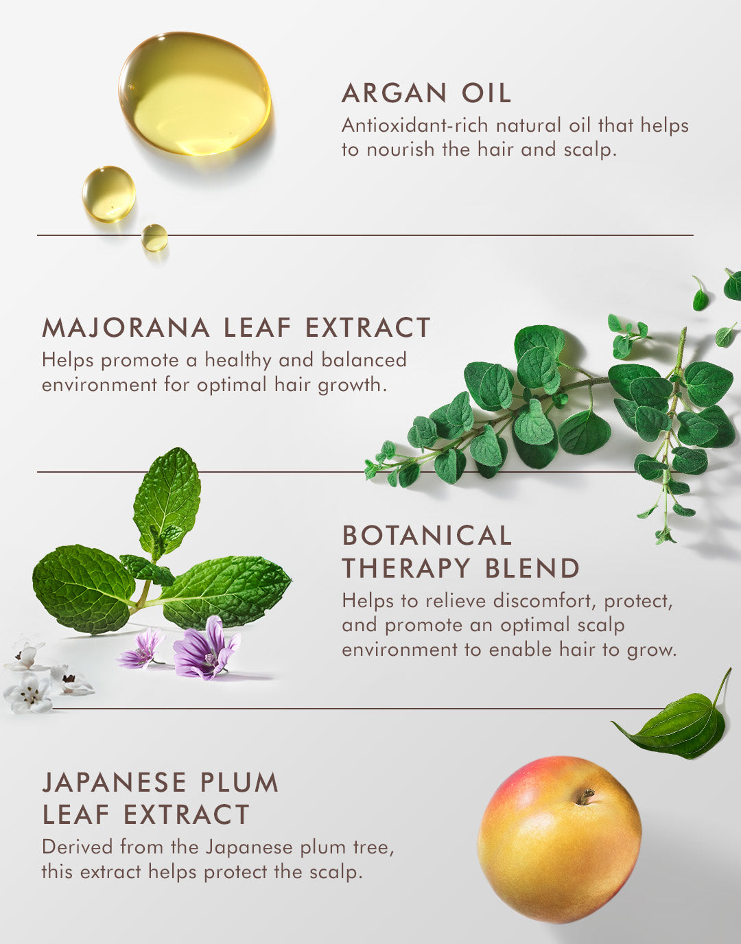 Revitalizing Scalp Tonic - Image 4