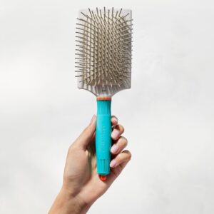 Alternative view of Paddle Brush